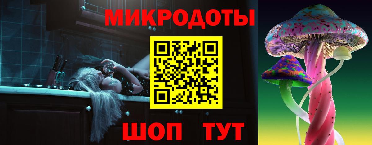 Галлюциногенные грибы Psilocybine cubensis Елизово
